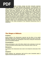 The Genetic Information of Plants