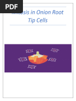 Mitosis in Onion Root Tip Cells