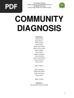 Community Diagnosis 1