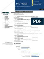 Curriculum-Vitae Geronimo Rivas