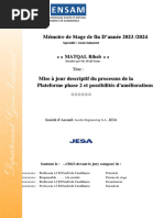 Rapport Pfa Jesa