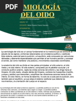 Semiologia de Oido