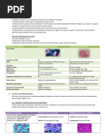 Tema 5 La Célula