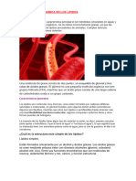 La Estructura Quimica en Los Lipidos