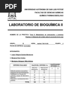 Reporte 4 - Metabolismo de A.A. y Proteínas - 293781