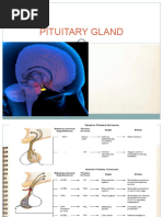 Pituitary Gland