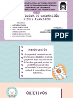 4.1.1.3 Esquema de Vacunación Básico y Avanzado