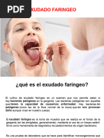 3.1 Exudado Faringeo