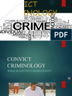 Convict Criminology