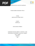 Anexo 3 - Matriz de Problematización de Contextos Laborales