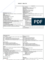 0 - Proiect - de - Lectie II+IV Clr+Lb. Română Simultan