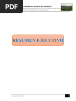 Resumen Ejecutivo