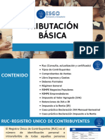 Tributación Básica