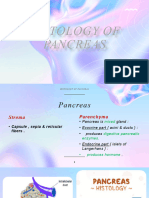 Histology of Pancreas