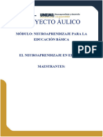 Proyecto Áulico Neuroaprendizaje