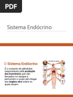 Trabalho Editado de Sistema Endocrino