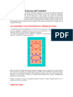 Fundamentos Teóricos Del Voleibol