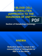 Anemia Workshop1