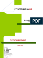 1.cours Phytotechnie Riz