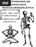 Neil Alex Flores Apaza - Radiologia