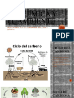 La Química y El Ambiente