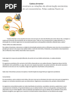 Cadeia Alimentar Resumo