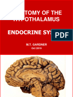 Hypothalamus 2019