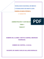 Ensayo Analisis Financiero