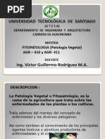 Clases Patologia Vegetal