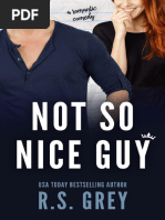 No So Nice Guy - R.S. Grey