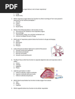 Exercise Respiratory System