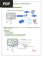 Principios Radiológicos