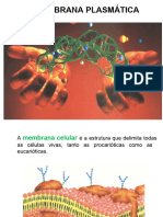 Membranas Biológicas