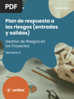 Plan de Respuesta A Los Riesgos (Entradas y Salidas)