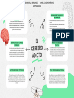 El Cerebro Adicto - Mapa Mental