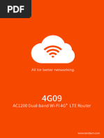 4G09 Datasheet