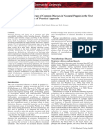 Causes, Diagnosis and Therapy of Common Diseases in Neonatal Puppies in The First Days of Life - Cornerstones of Practical Approach