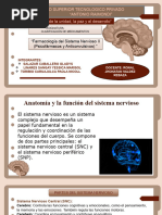 Psicofarmacos y Anticonvulsivos