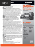 APG Series Gas Enginator Generating System Featuring ESM Technology