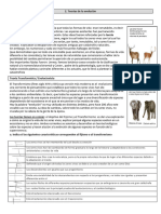 2.teorías de La Evoluciónguia