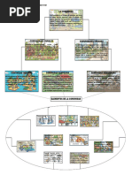 Mapa Conseptual La Comunidad