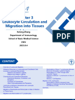 Chapter 3 Leukocyte Circulation and Migration Into Tissues