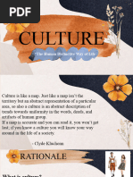 Culture 7