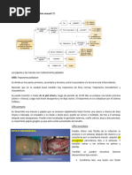 Enfermedades de Transmisión Sexual: Sífilis Treponema Palladium