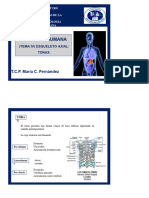 Clase 2 Esqueleto Axial y Apendicular