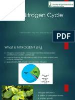 Nitrogen 2