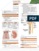 Module 10 - Drugs Affecting The Urinary System