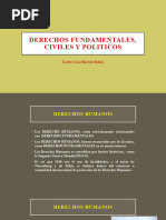 Derechos Fundamentales