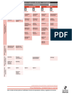 Contador Publico Auditor Plan Continuidad