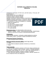 Roteiro Aula Prática Coluna Cervical Superior